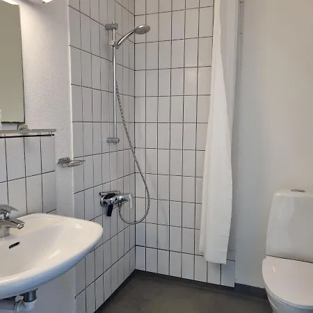 Danhostel رينغستيد